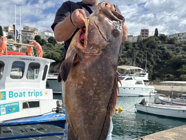 alexsea experience methoni sapientza boat tours