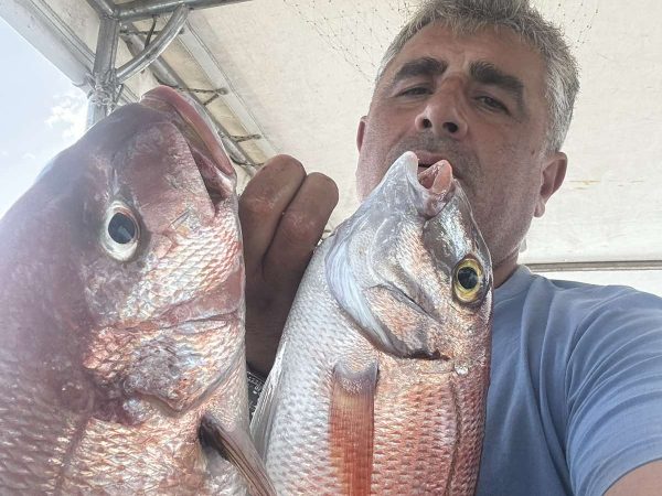 alexsea experience methoni sapientza boat tours